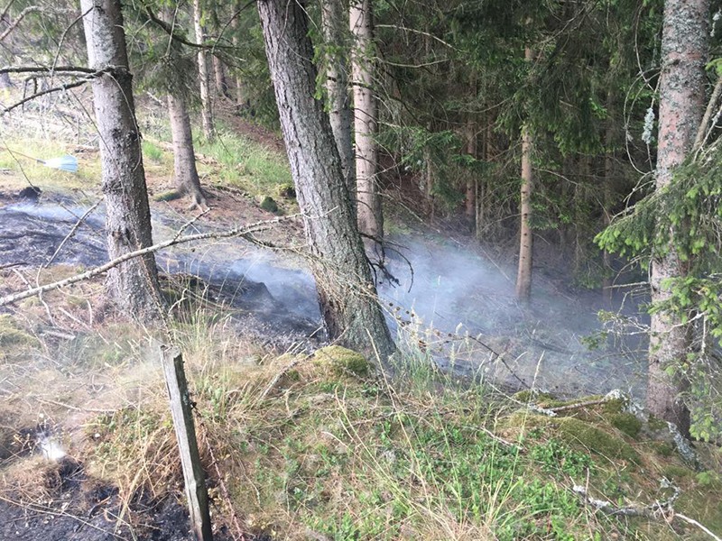 Waldbrand am Roßeck in Bruck an der Mur, Ortsteil Oberaich