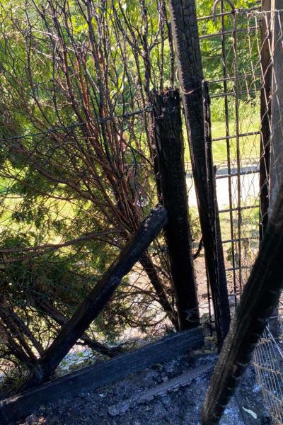 brand-gartenanlage-hecke